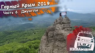 Горный Крым 2019. Часть 6. Джунгли