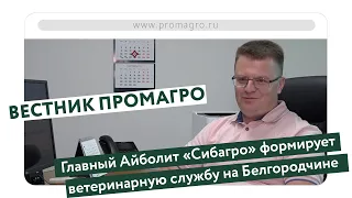 Вестник ПРОМАГРО  Главный Айболит «Сибагро» формирует ветеринарную службу на Белгородчине