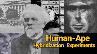 This Mad Scientist Tries to Create Humanzee | Evil Human-Ape Hybridization Experiment