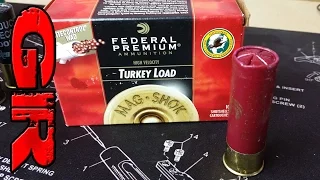 12 Gauge Federal 4 Shot Turkey Load - Ballistic Gelatin Test