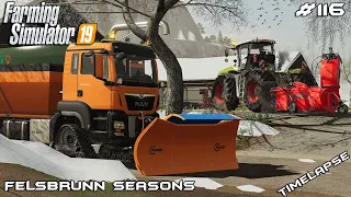 Plowing snow & cleaning roads | Animals on Felsbrunn Seasons | Farming Simulator 19 | Episode 116