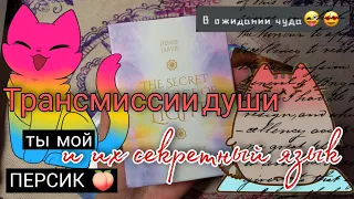 ✨Оракул секретного языка света (Трансмиссии души)/The secret language of light (реплика АлиЭкспресс)