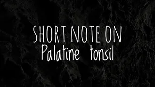 Short Note On Palatine Tonsils | Anatomy | Mbbs | Manoti Alawadi