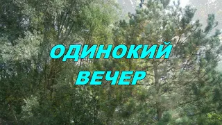 Анатолий Кулагин - Одинокий Вечер