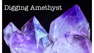 Jackson's Cross Roads Digging Amethyst Crystals | Awesome Public Dig!