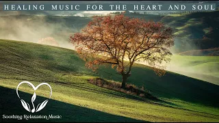 Restoration of the nervous system gentle music heals the soul