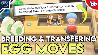HOW to BREED + TRANSFER EGG MOVES in Pokemon Brilliant Diamond and Shining Pearl BDSP
