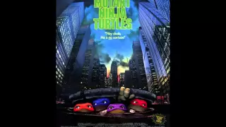 Teenage Mutant NInja Turtles Theme Cover (1990)