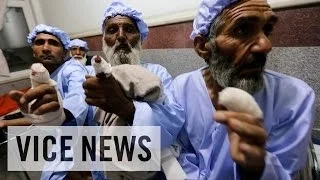 VICE News Daily: Beyond The Headlines - June, 16 2014