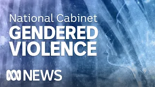 IN FULL: Federal government announces new measures to combat domestic violence | ABC News