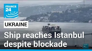 Ukraine port ship reaches Istanbul despite Russian blockade • FRANCE 24 English