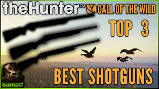 The Top 3 Best Shotguns For Your Revontuli Coast Adventures! Call of the wild