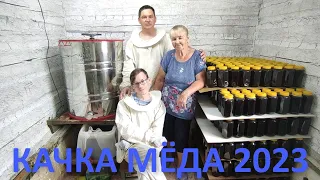 Качка меда 2023