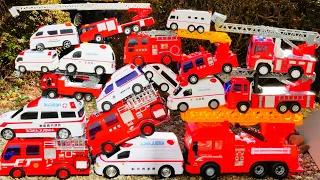 Ambulance & Fire Engine Model Collection Drive ASMR