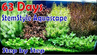 Step by Step Aquascape Stemstyle DutchStyle 50 CM