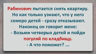 ✡️ Рабинович захотел снять Квартиру! Анекдоты про Евреев! Выпуск #72