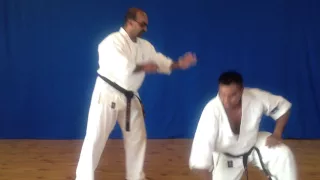 Ashihara Karate's Sabaki Kumite against a Left Punch