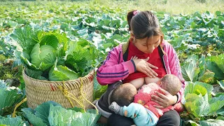 120 Hard days of a single mother - With two children harvest vegetables, fruits go to market sell