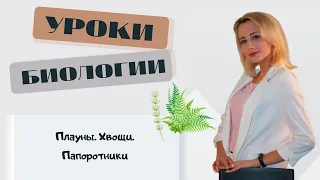 Плауны.  Хвощи.  Папоротники