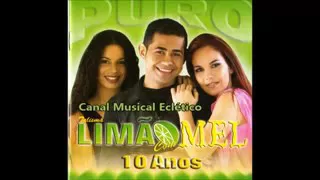 Forró Limão com Mel - 2004 - 10 anos - Puro Limão com Mel - CD Completo - soforrofm.com.br