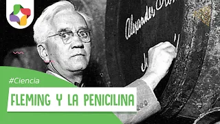 Alexander Fleming y la penicilina | Ciencia Educatina