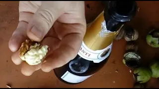 Как легко очистить грецкие орехи с помощью пустой бутылки: самый простой способ
