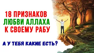 18 признаков любви Аллаха к своему рабу? А у вас какие есть?