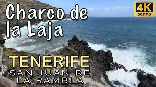 Tenerife - Charco La Laja, San Juan de la Rambla 🌊⛰️ 4K HDR