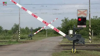 Železničné priecestie Biel [SP1287] - 7/2019 / Železniční přejezd / Slovak railroad crossing