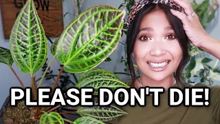 Plants I Might KILL Plant Haul! | PLANT HAUL 2020!!