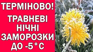 УКРАЇНУ НАКРИЄ ХВАЛЯ ЗАМОРОЗКІВ : ДЕ ВДАРЯТЬ МОРОЗИ