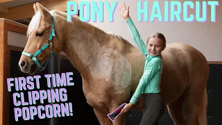 PONY HAIRCUT - FIRST TIME CLIPPING MY HORSE POPCORN!