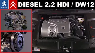 Presentation of the 2.2 HDi DW12 TED4 engine