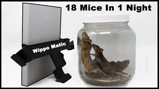 One Of The Best Mousetraps Ever Invented! The Wippo-Matic Mousetrap from Sweden. Mousetrap Monday