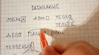 Что такое окончание и как правильно выделить окончание в слове + у каких слов окончаний нет