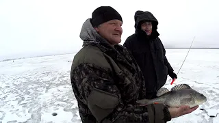 Мифический килошник! Поиск крупного окуня на водохранилище. Как я прошляпил "мамку"