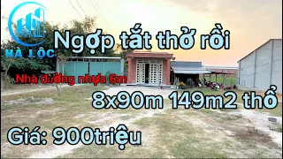 Nhà quá ngợp đường nhựa 8x90 900cành