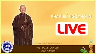 Tịnh Tông Học Viện - Làng A Mi Đà [Live Stream]