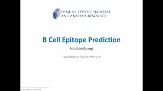 2020 User Workshop – 2.6 – B Cell Epitope Prediction