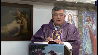 Homilía de Hoy │III Domingo de Adviento│11-12-2022 │P. Santiago Martín, FM