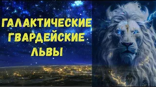 Галактические гвардейские львы