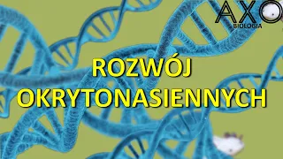 28. Wzrost i rozwój roślin okrytonasiennych