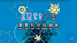 彤大王  《 下辈子还要和你成个家 》  xia bei zi hai yao he ni cheng ge jia