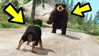 GTA 5 - Chop vs. Bear! (Who Wins?)