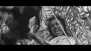 Onibaba 1964 (Kaneto Shindo) [Trailer]