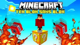 🧱MINECRAFT AMA TEK BLOK ŞANS BLOĞU🧱MUHAMMET EFE ARI🐝ARIGİLLER🐝MINECRAFT