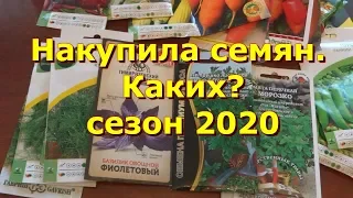 Семена на лето 2020 года. Овощи и травы