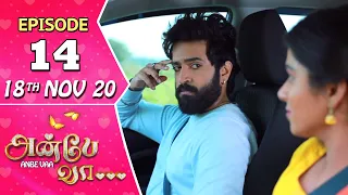 Anbe Vaa Serial | Episode 14 | 18th Nov 2020 | Virat | Delna Davis | SunTV Serial |Saregama TVShows