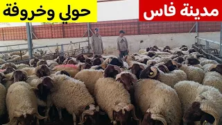 إنطلاق بيع أضاحي العيد🥇🐑🐏 نواحي فاس🇲🇦 وخروفة وجديان 0643710958 📞💯 فرجة ممتعة