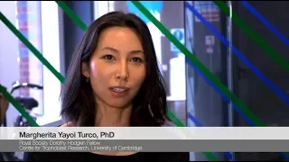 3d Cell Culture and Analysis: Thoughts from Dr. Margherita Yayoi Turco